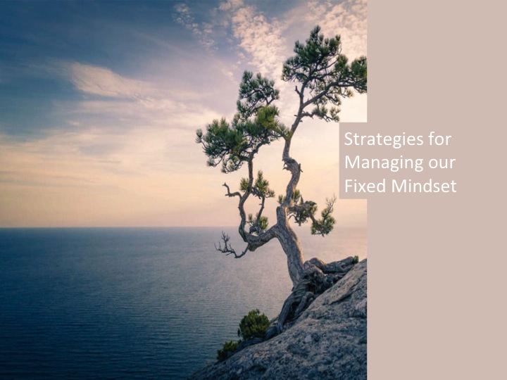 Fixed mindset srategies